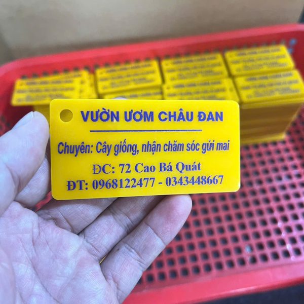 In Ấn Mạnh Dũng