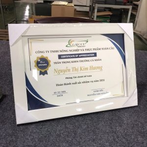 In bằng khen, giấy khen khung gỗ màu sắc tùy chọn