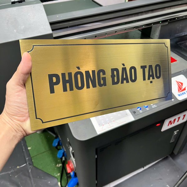 In Ấn MD