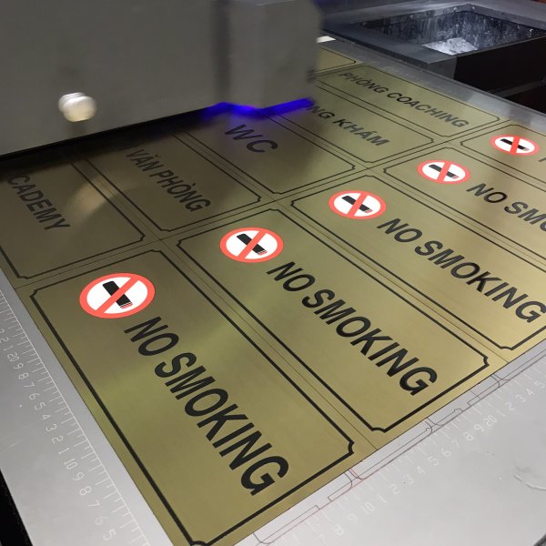 In Ấn Mạnh Dũng