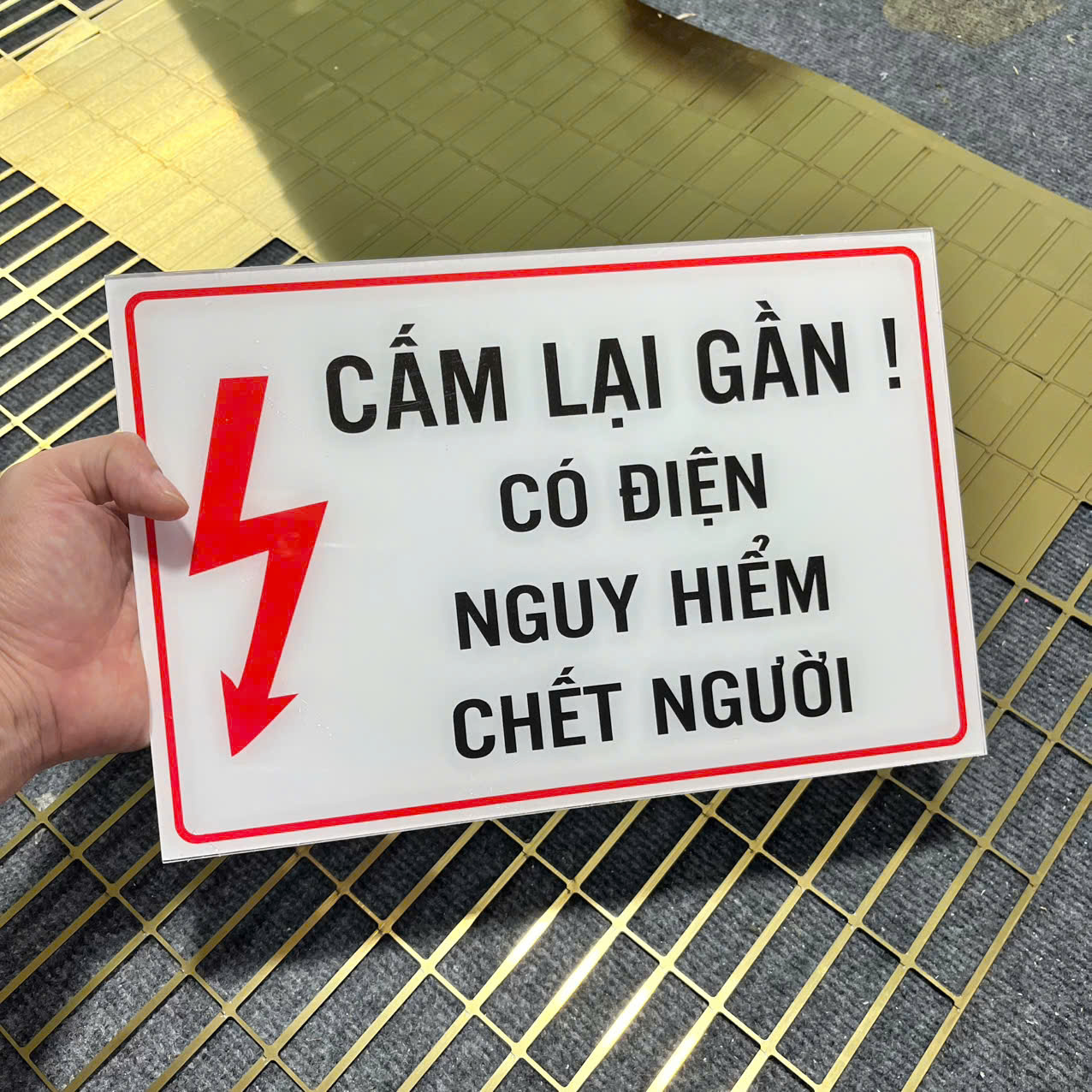 In Ấn Mạnh Dũng