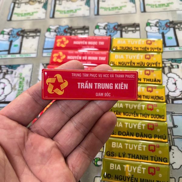 In Ấn Mạnh Dũng