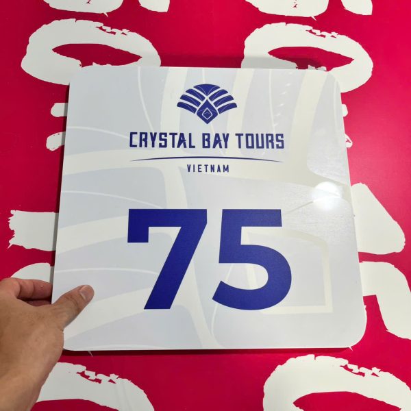 In Ấn Mạnh Dũng