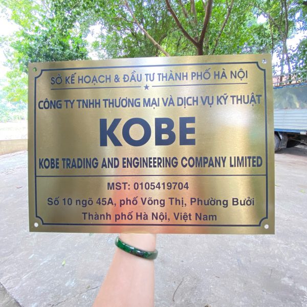 In Ấn Mạnh Dũng