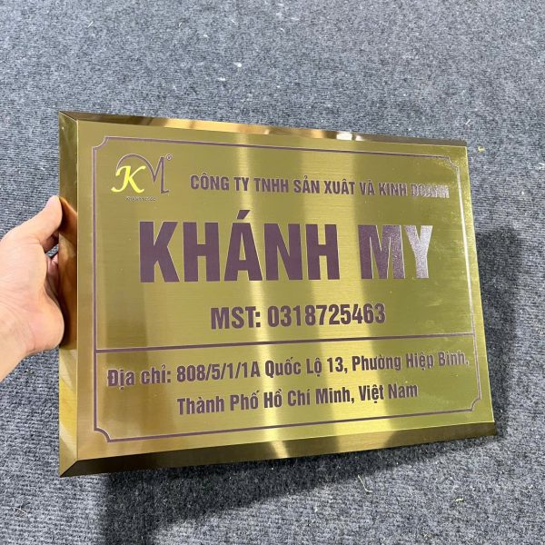 In Ấn Mạnh Dũng