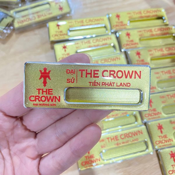 In Ấn Mạnh Dũng