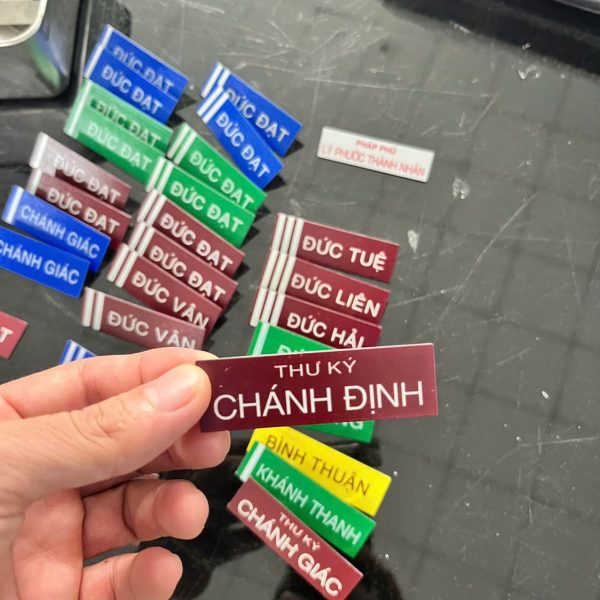 In Ấn Mạnh Dũng