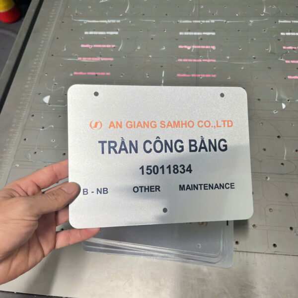 In Ấn Mạnh Dũng