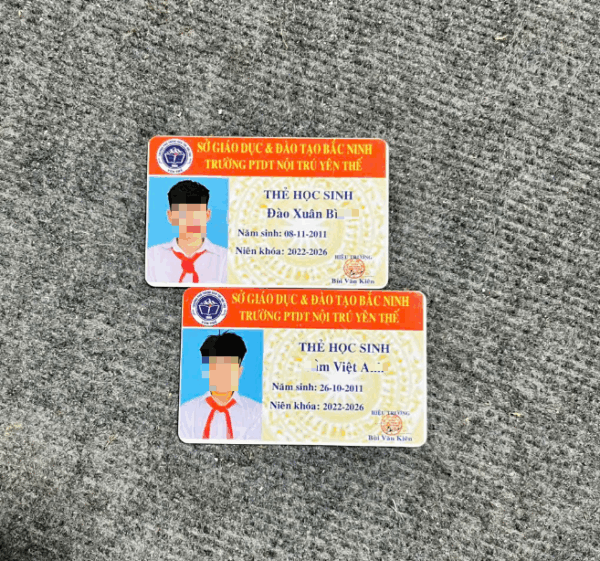 In Ấn Mạnh Dũng