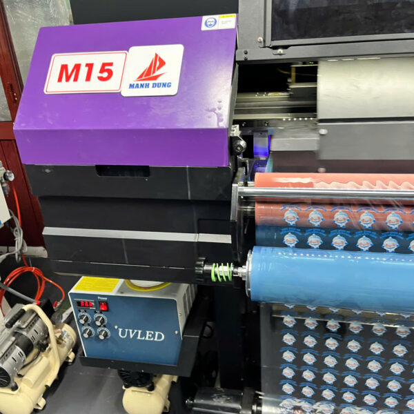 In Ấn Mạnh Dũng