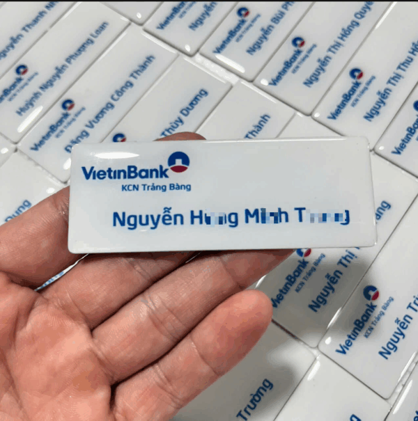 In Ấn Mạnh Dũng