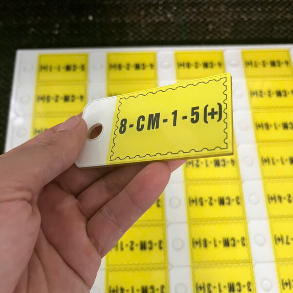 In Ấn Mạnh Dũng