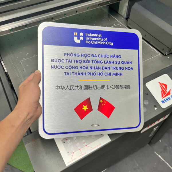 In Ấn Mạnh Dũng