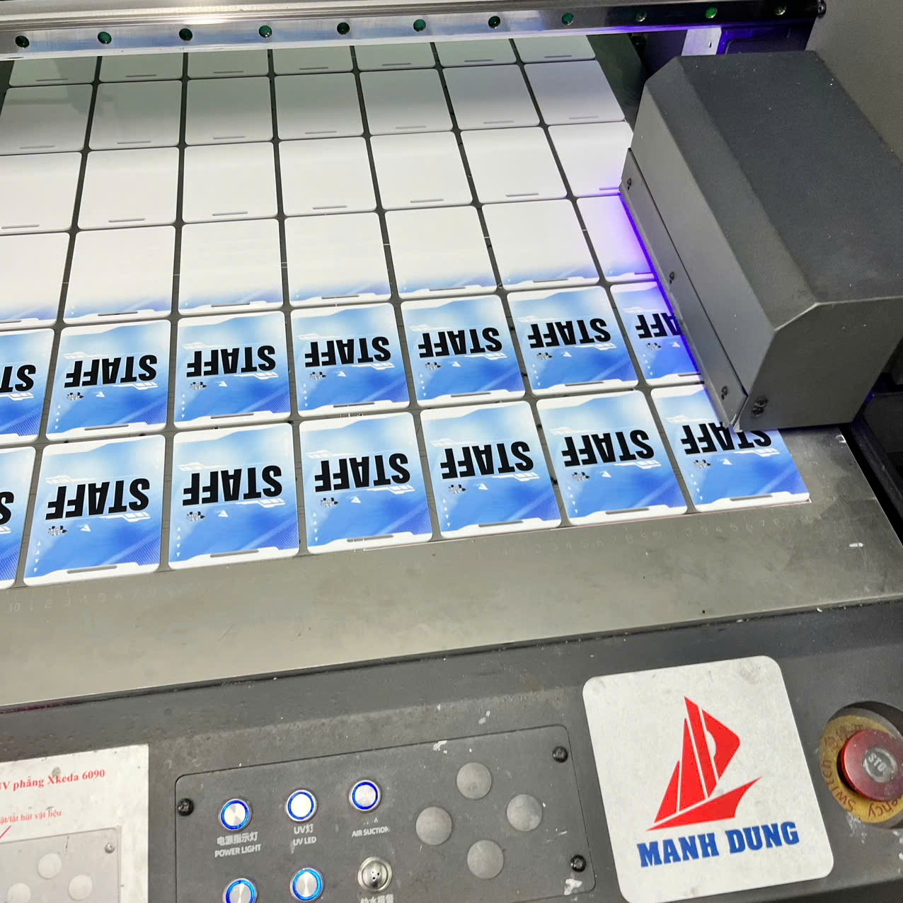 In Ấn Mạnh Dũng